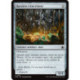 (Foil) Incolore - Barrière étincelante (C) [FDN]