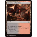 (Foil) Terrain - Cavernes du Sacrifice (C) [FDN]