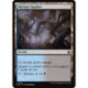 (Foil) Terrain - Marigot lugubre (C) [FDN]