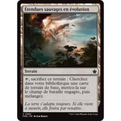 (Foil) Terrain - Étendues sauvages en évolution (C) [FDN]