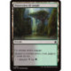 (Foil) Terrain - Dépression de jungle (C) [FDN]