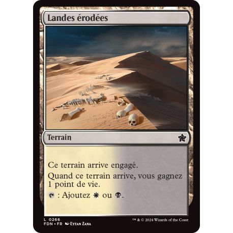 (Foil) Terrain - Landes érodées (C) [FDN]