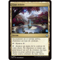 (Foil) Terrain - Cour retirée (U) [FDN]