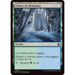 (Foil) Terrain - Chutes de Boisépine (C) [FDN]
