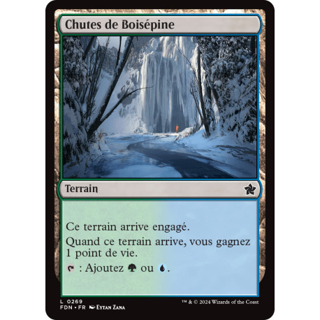 (Foil) Terrain - Chutes de Boisépine (C) [FDN]