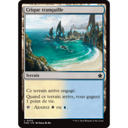 (Foil) Terrain - Crique tranquille (C) [FDN]