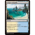 (Foil) Terrain - Crique tranquille (C) [FDN]