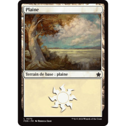(Foil) Terrain - Plaine (V1) (L) [FDN]