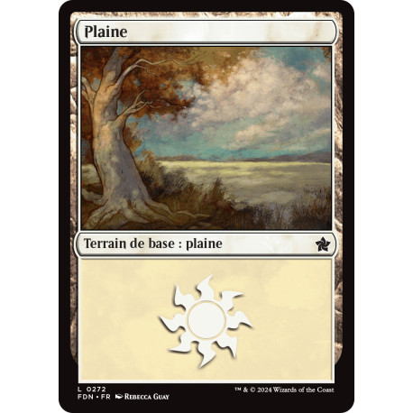 (Foil) Terrain - Plaine (V1) (L) [FDN]
