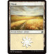 (Foil) Terrain - Plaine (V2) (L) [FDN]