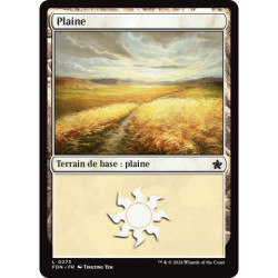 (Foil) Terrain - Plaine (V2) (L) [FDN]