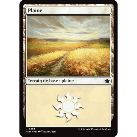 (Foil) Terrain - Plaine (V2) (L) [FDN]