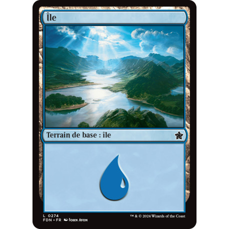 (Foil) Terrain - Île (V1) (L) [FDN]