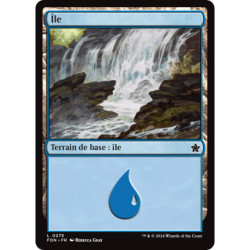 (Foil) Terrain - Île (V2) (L) [FDN]