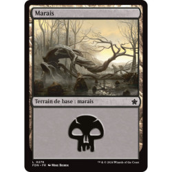 (Foil) Terrain - Marais (V1) (L) [FDN]