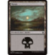 (Foil) Terrain - Marais (V2) (L) [FDN]