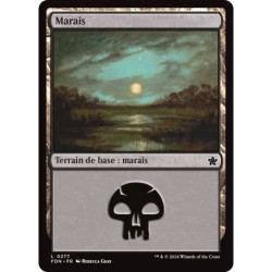 (Foil) Terrain - Marais (V2) (L) [FDN]
