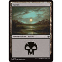 (Foil) Terrain - Marais (V2) (L) [FDN]