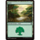 (Foil) Terrain - Forêt (V1) (L) [FDN]