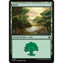 (Foil) Terrain - Forêt (V1) (L) [FDN]