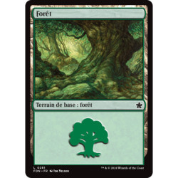 (Foil) Terrain - Forêt (V2) (L) [FDN]