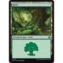 (Foil) Terrain - Forêt (V2) (L) [FDN]