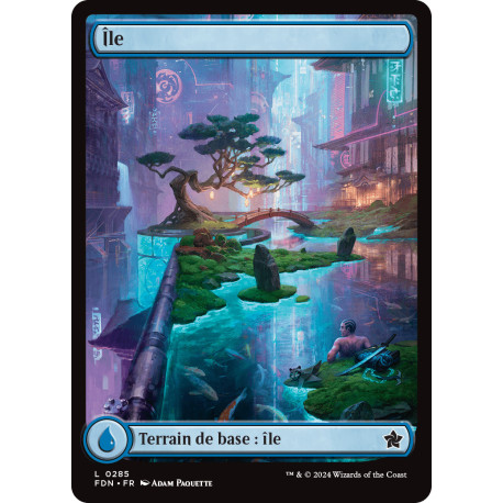 (Foil) Terrain - Île (V4 - Character Land: Kaito) (L) [FDN]