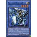 Paladin du Dragon Blanc (R) [DPKB]