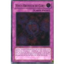 Virus Broyeur de Carte (ULT) [DPKB]
