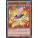 Patineur de l'Eau Potartiste (C) [MP15]