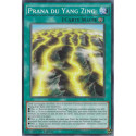 Prana du Yang Zing (C) [MP15]