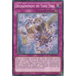 Déchaînement du Yang Zing (C) [MP15]