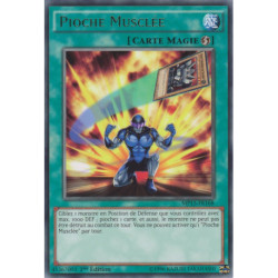 Pioche Musclée (R) [MP15]