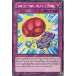 Coup de Poing dans la Boîte (C) [MP15]