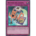 Réserve de Fusion (UR) [MP15]