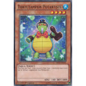 Tortutampon Potartiste (C) [MP15]