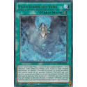 Expansion du Vide (R) [MP15]