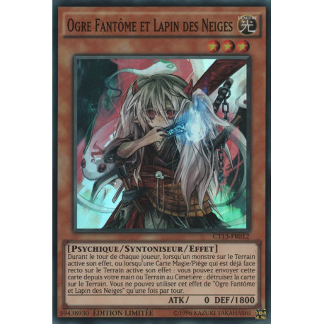 Ogre Fantôme et Lapin des Neiges (SR) [CT13]
