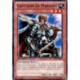 Capitaine en Maraude (C) [YS12]