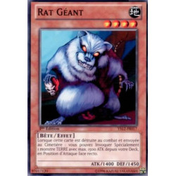Rat Géant (C) [YS12]