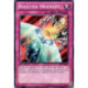 Bouclier Drainant (C) [YS12]