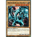 Dragon Blanc aux Yeux Bleus (V1) (C) [SDWD]
