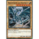 Dragon Blanc aux Yeux Bleus (V3) (C) [SDWD]