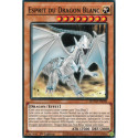 Esprit du Dragon Blanc (C) [SDWD]
