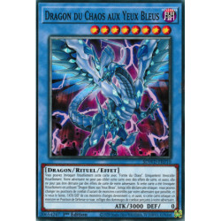 Dragon du Chaos aux Yeux Bleus (C) [SDWD]
