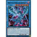 Dragon du Chaos aux Yeux Bleus (C) [SDWD]