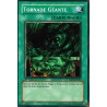 Tornade Géante (C) [SDRL]