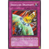 Bouclier Drainant (C) [SDRL]