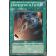 Destruction de Carte (C) [SDZW]