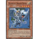 Paladin du Dragon Maudit (C) [SDZW]